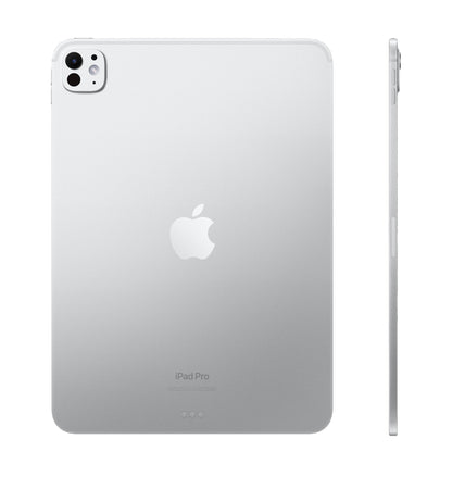 iPad Pro 11 Inch 2024 Cellular Nano-texture display glass